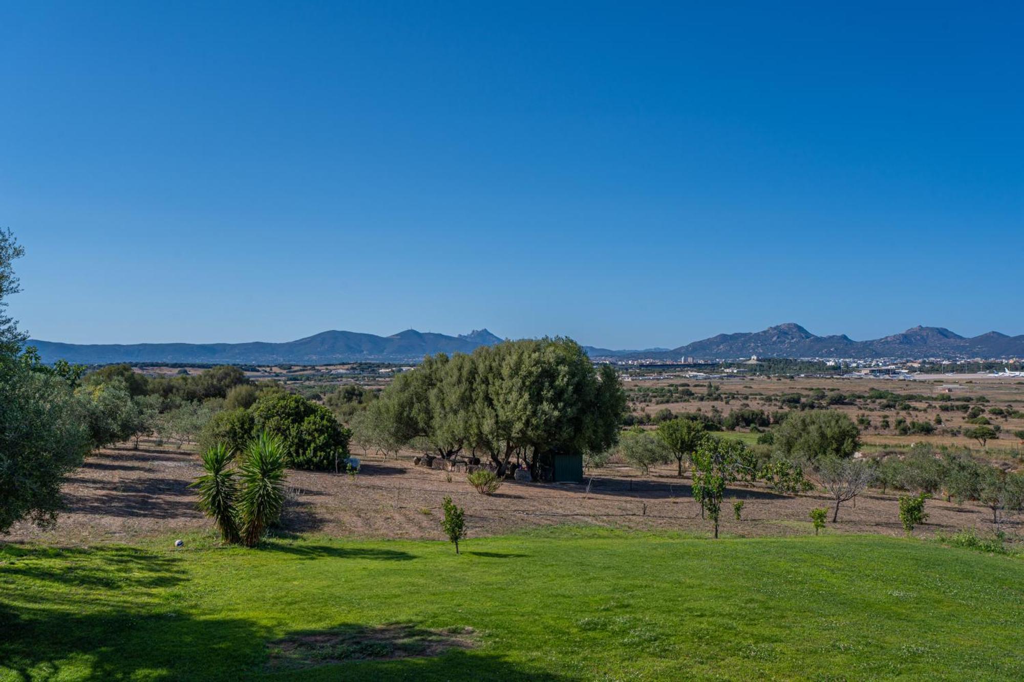 Villa Patrizia-Luxury House Olbia Ngoại thất bức ảnh